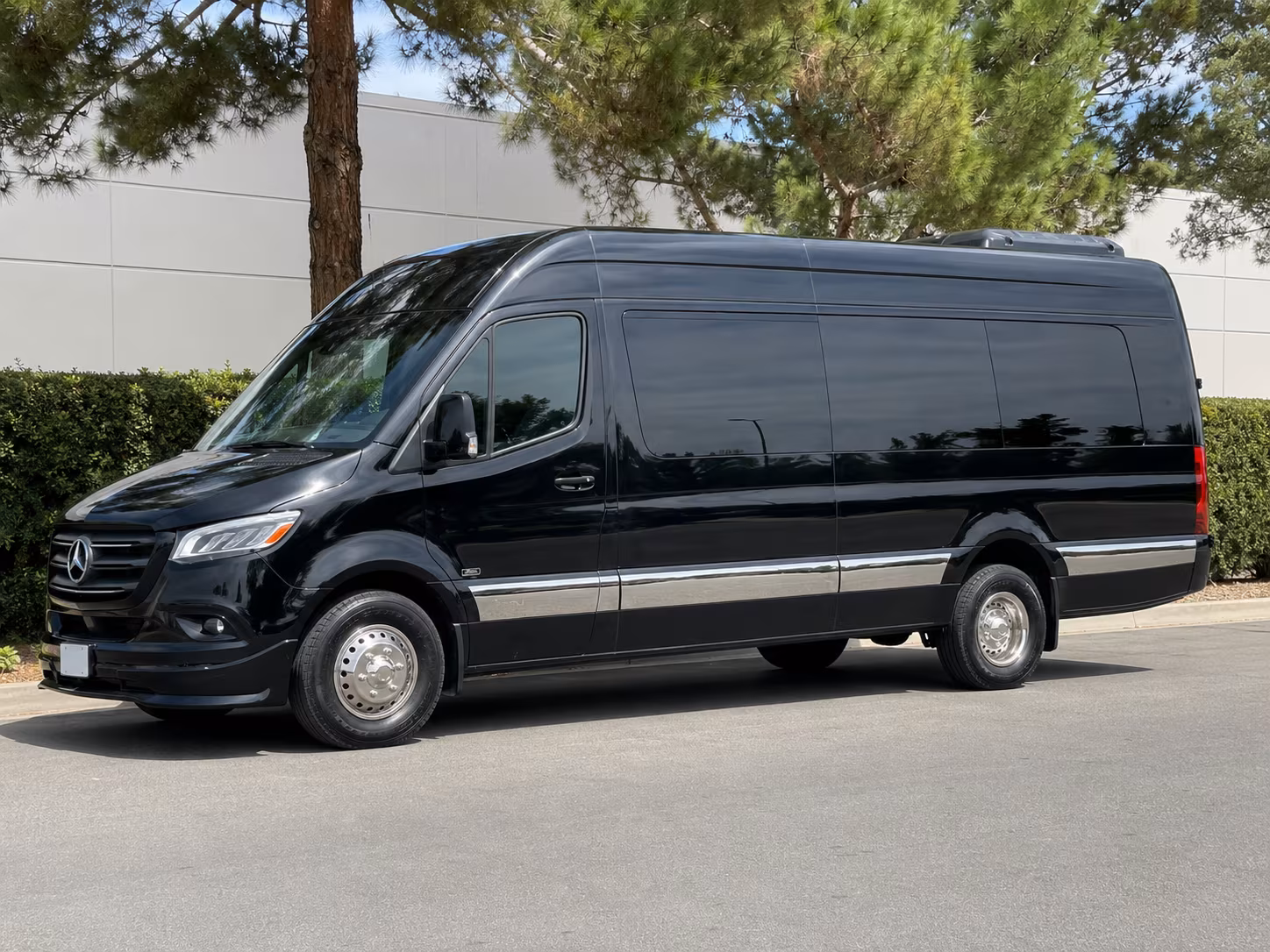 cambridge 12 passenger sprinter van